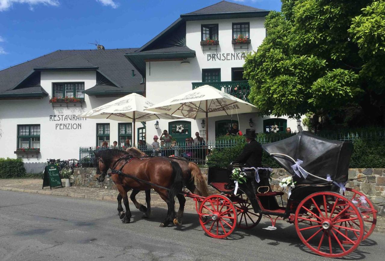 Pension Brusenka Bystřice pod Hostýnem Exterior foto